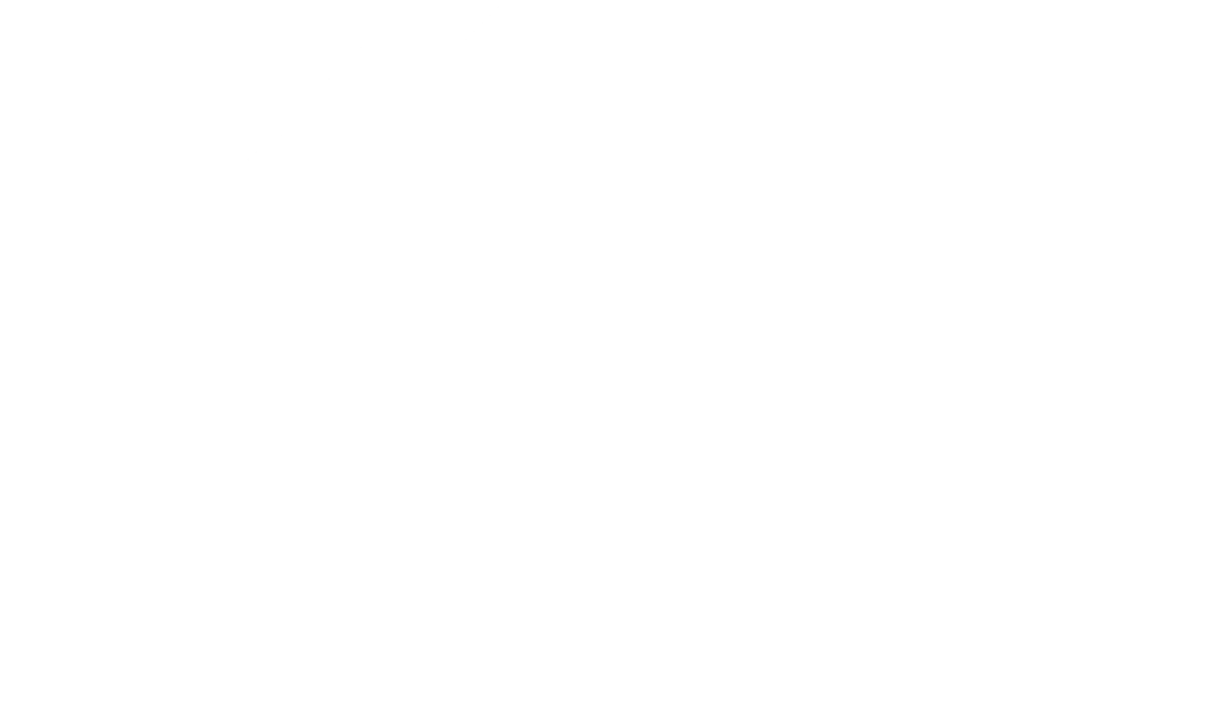 شعار سائد حسونة